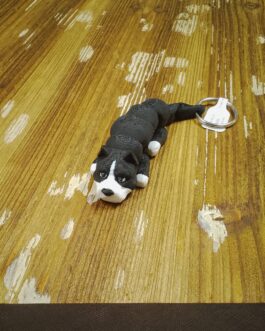 American Bully – Bulldog