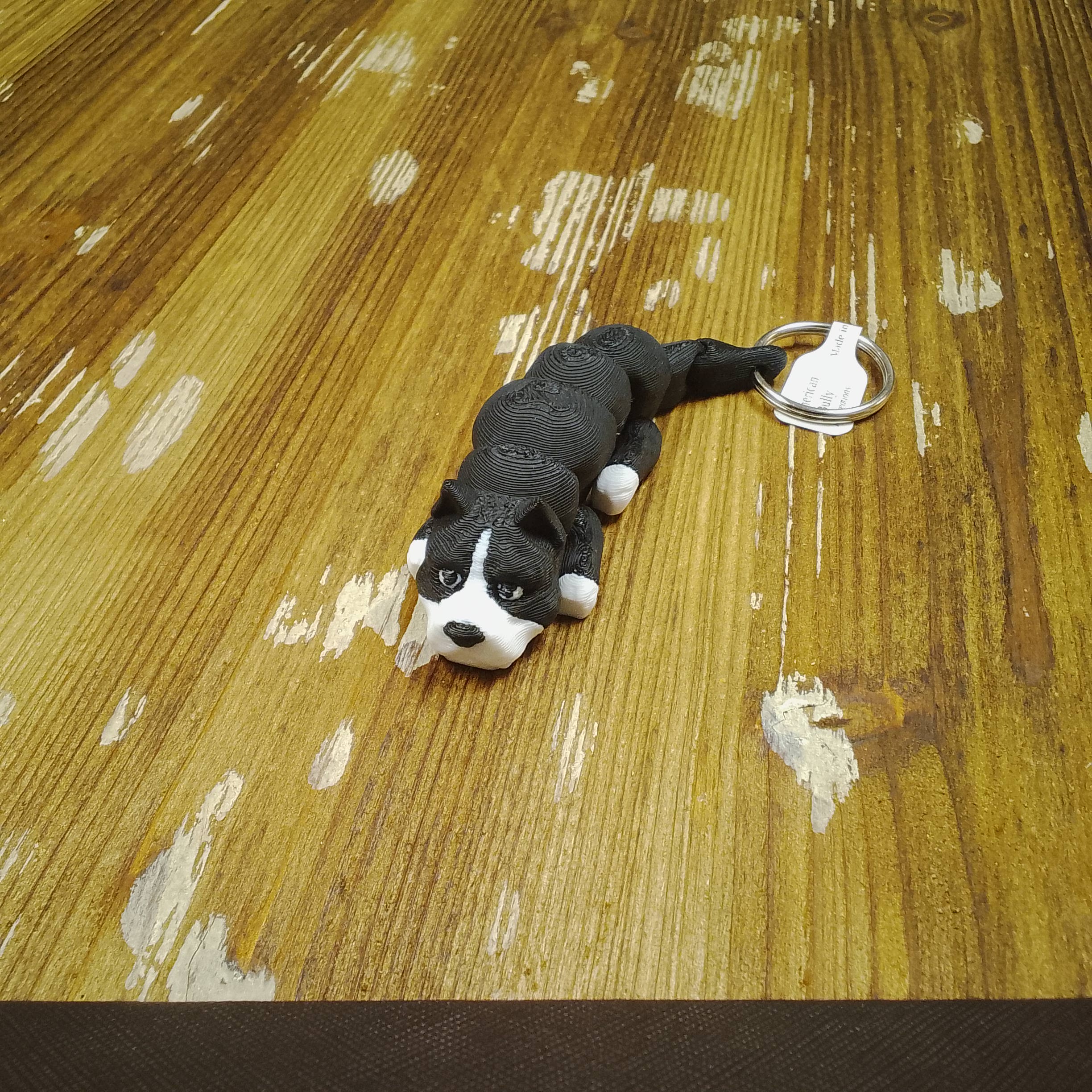 American Bully - Bulldog - Image 2