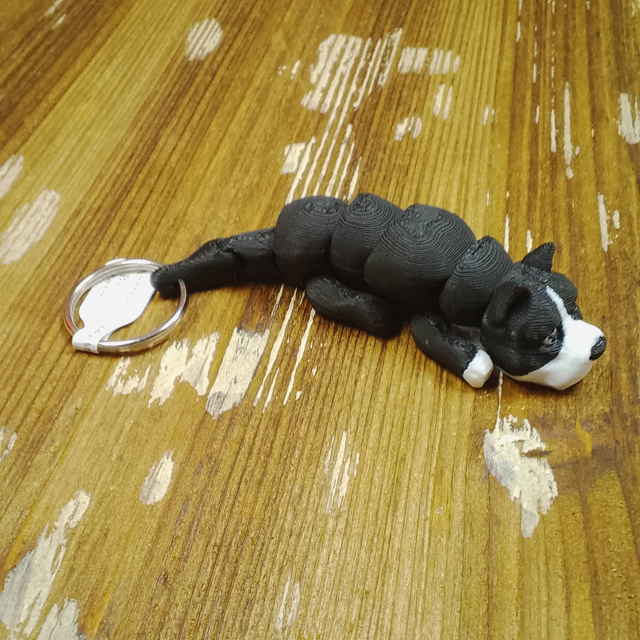 American Bully - Bulldog - Image 3