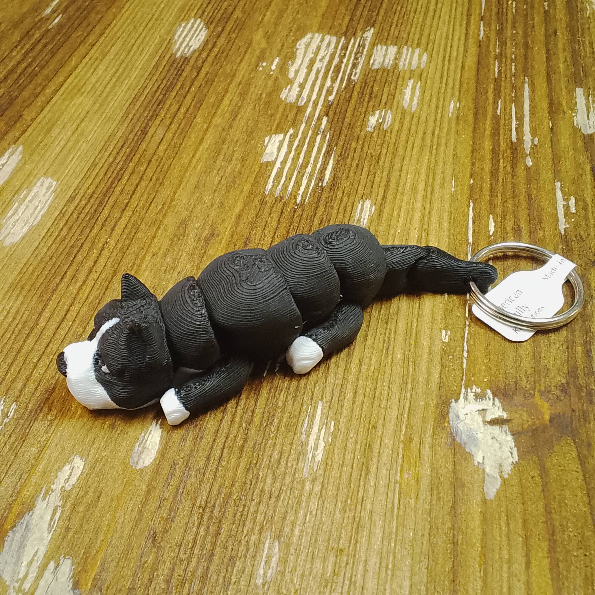 American Bully - Bulldog - Image 4