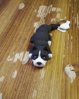 American Bully – Bulldog