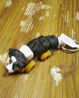 Australian Shepheard Aussie