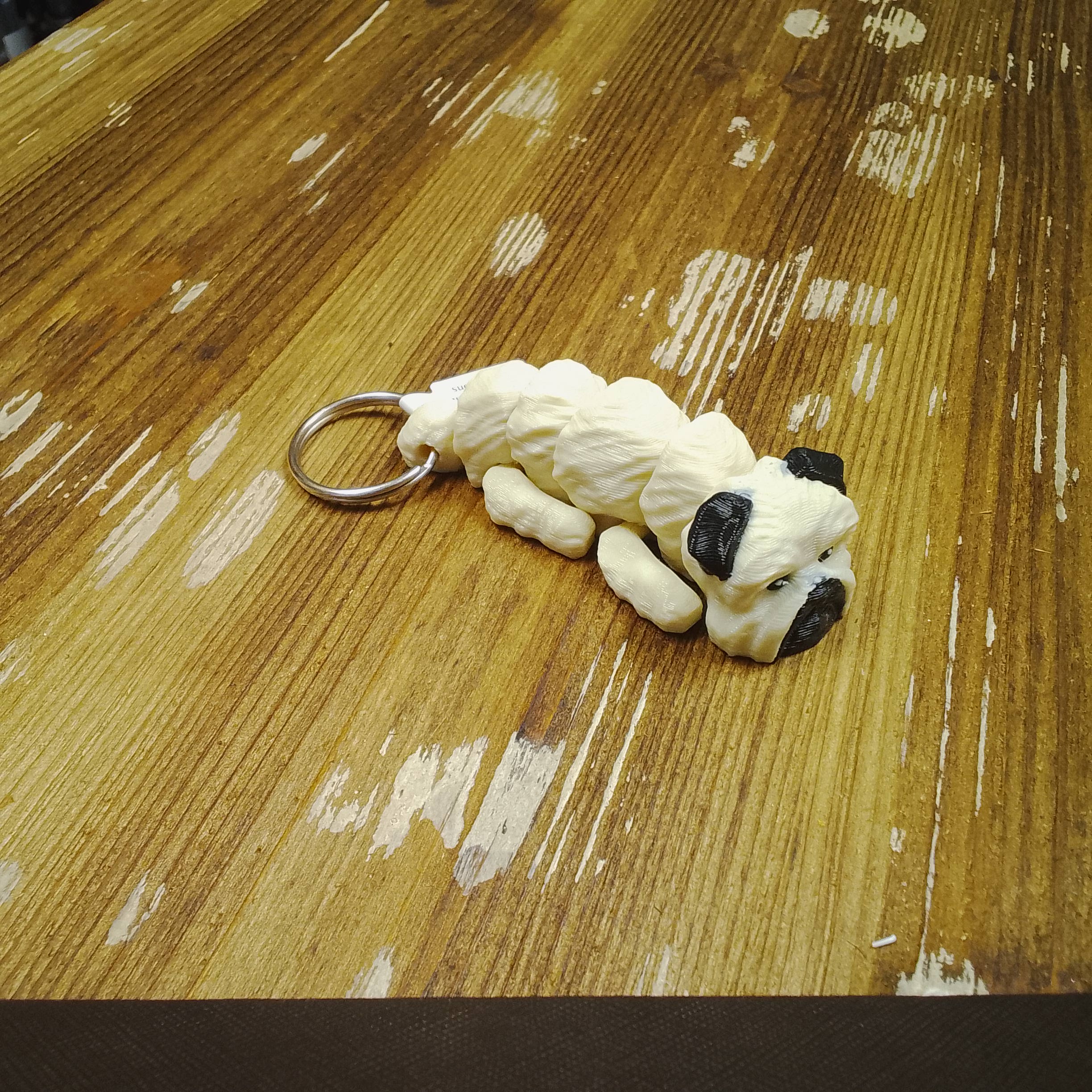 Brussels Griffon - Image 4