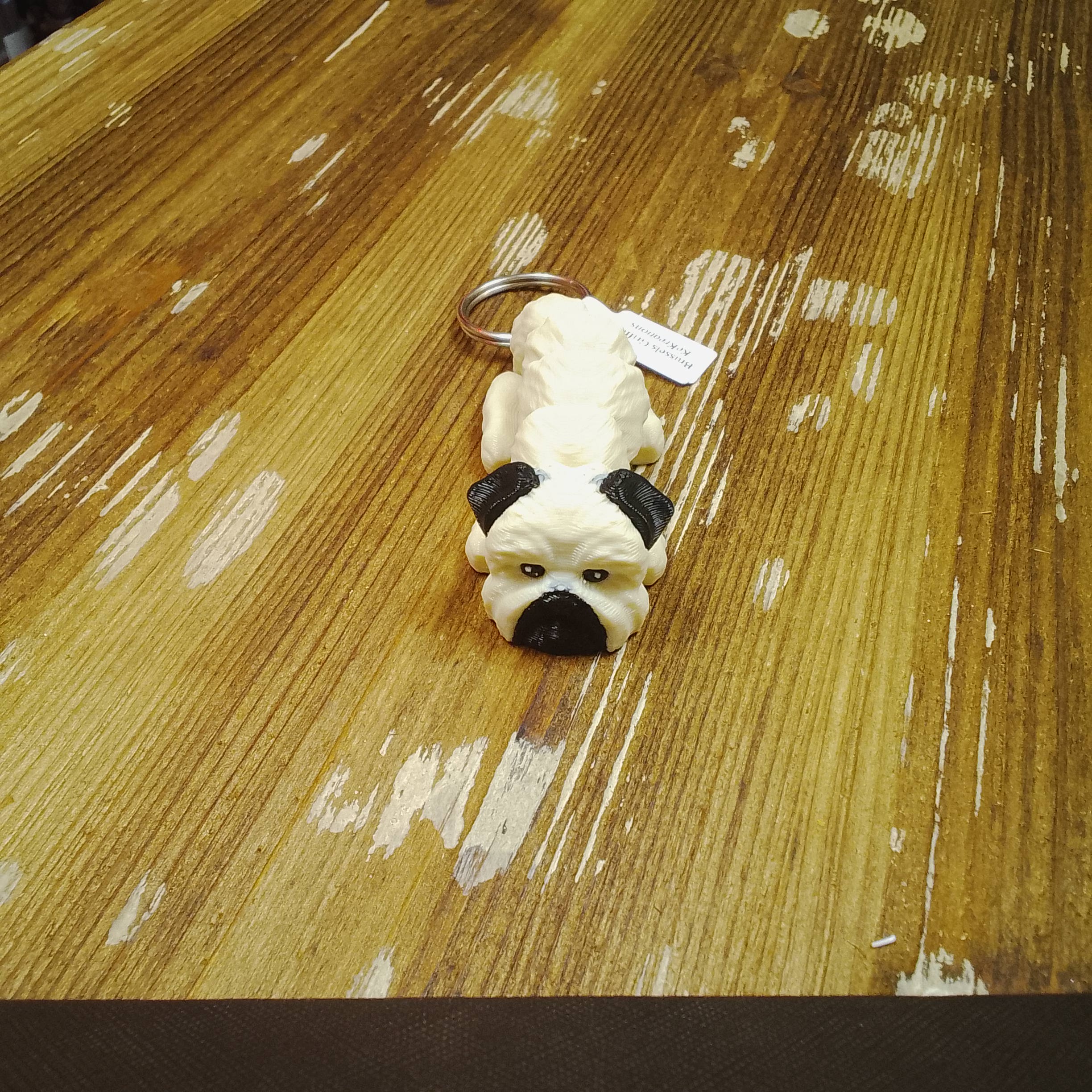 Brussels Griffon - Image 2