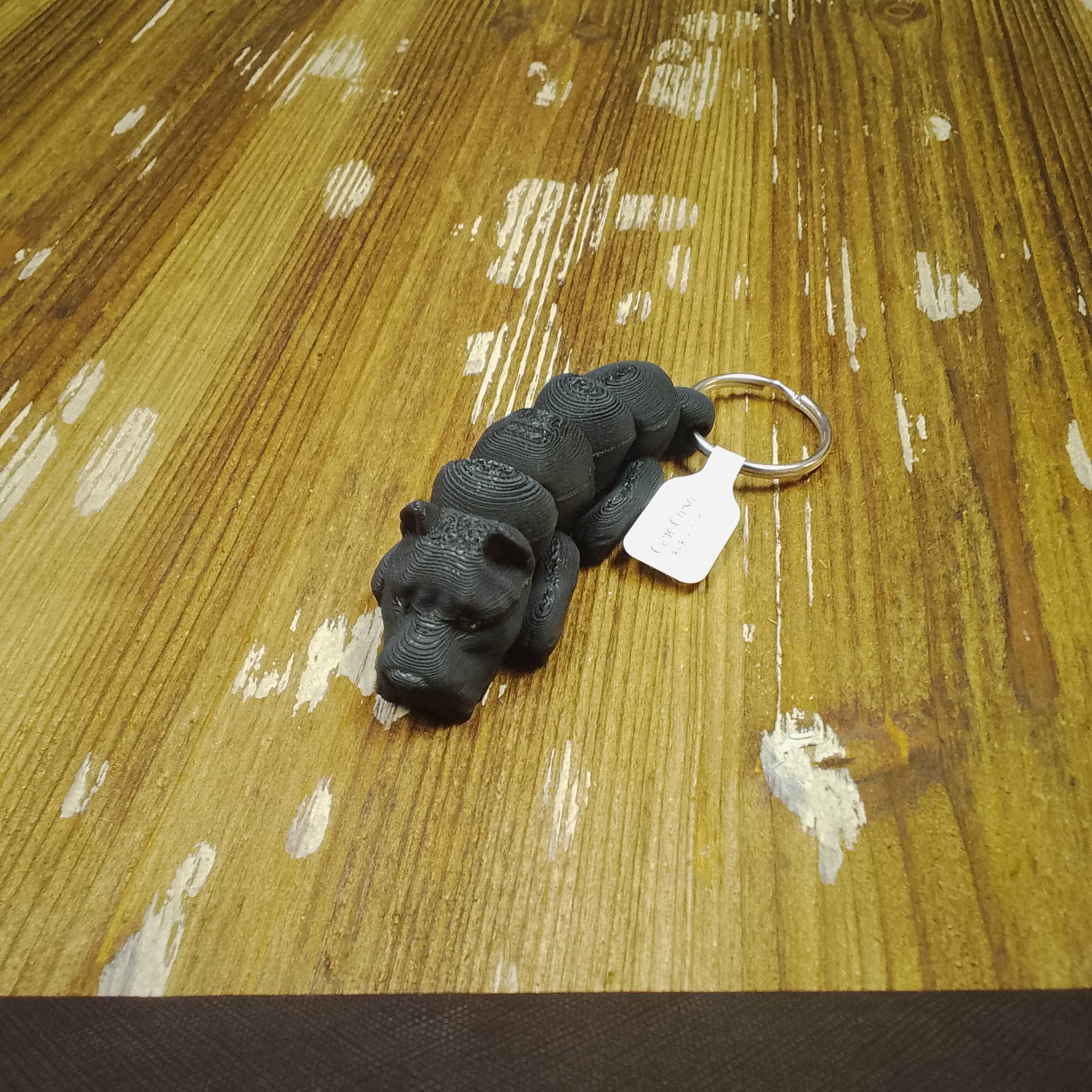 Cane Corso - Image 3