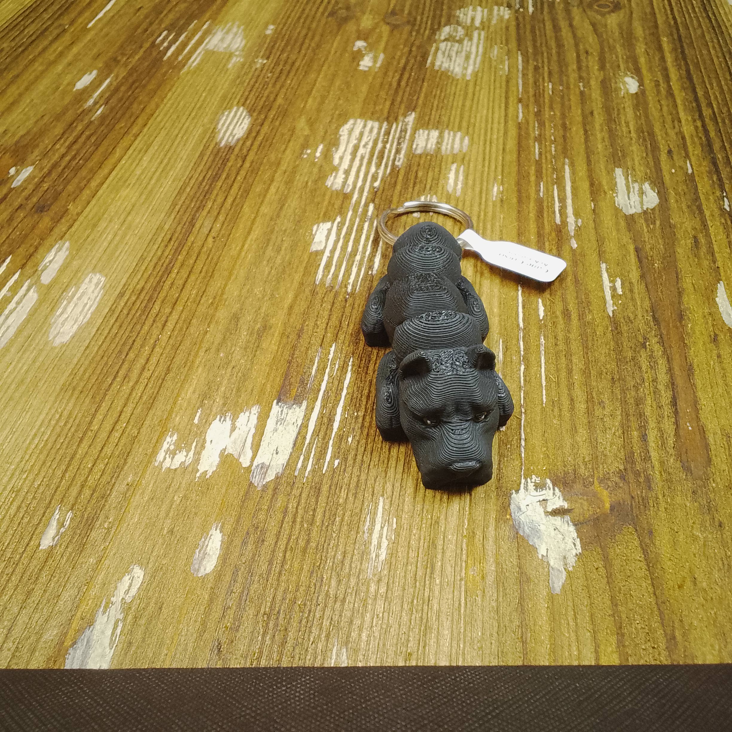 Cane Corso - Image 2