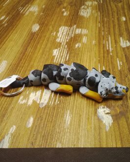 Catahoula Leopard Dog