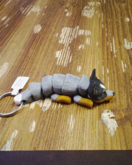 Cattle Dog Australian