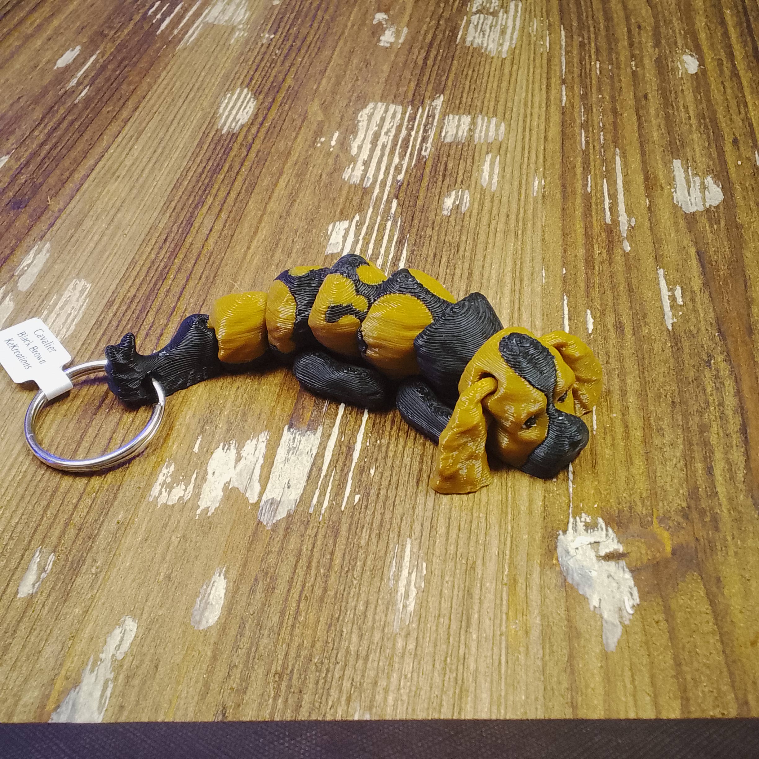 Cavalier Black-Brown - Image 4