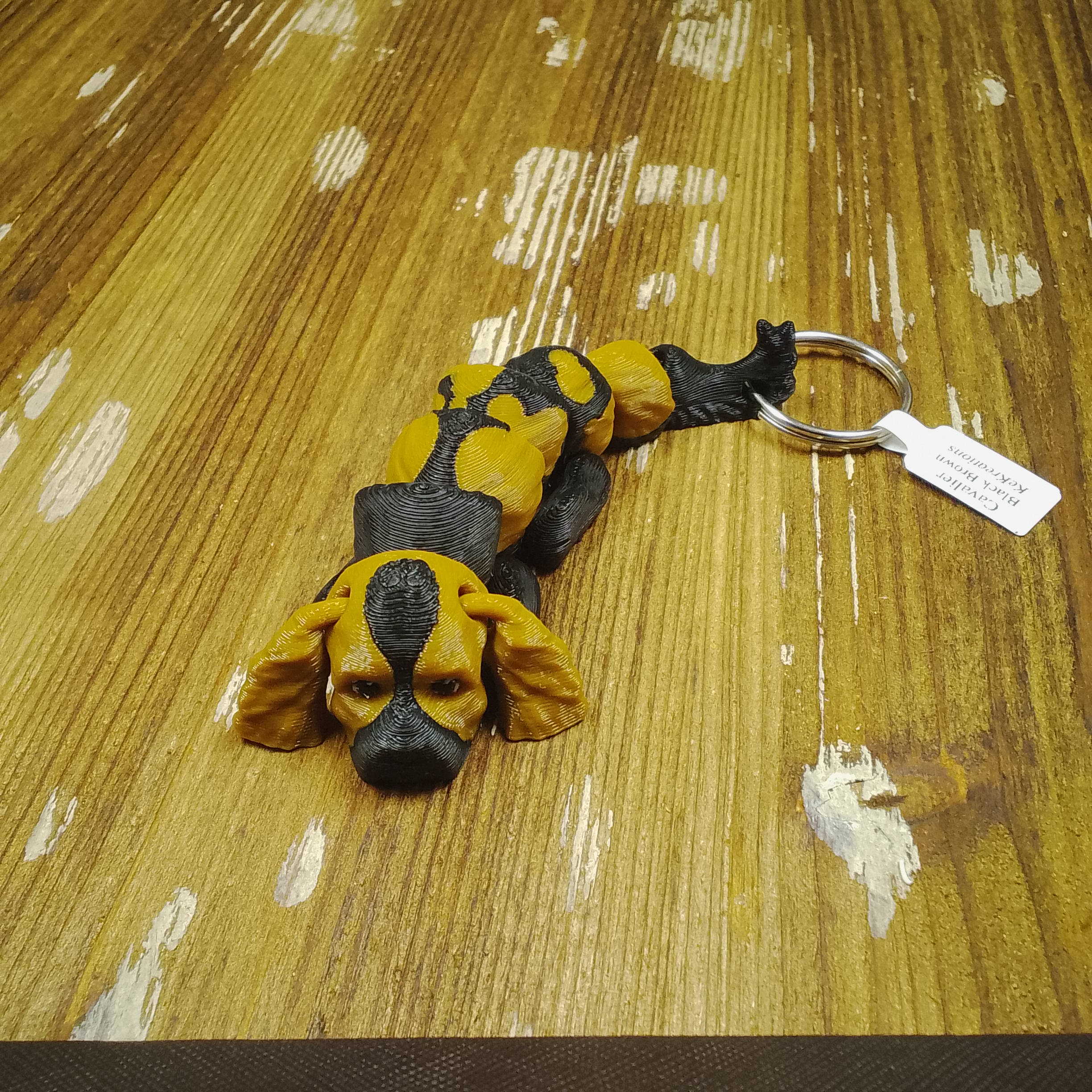 Cavalier Black-Brown