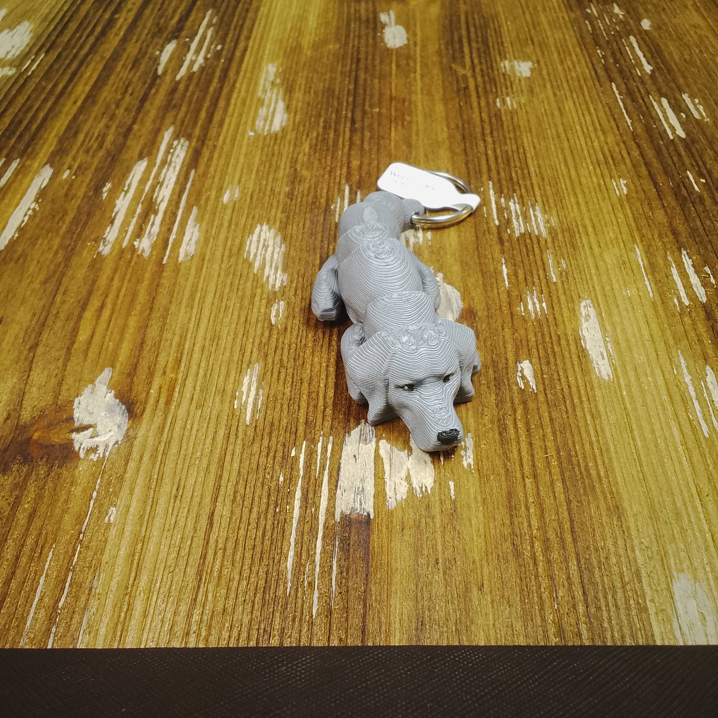 Weimaraner - Image 4